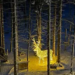 Kuckucksnest - Mit Traumblick Im Schwarzwald شقة