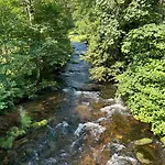 Kuckucksnest - Mit Traumblick Im Schwarzwald * باد ويلباد