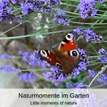 شقة Kuckucksnest - Mit Traumblick Im Schwarzwald باد ويلباد