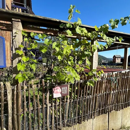 Kuckucksnest - Mit Traumblick Im Schwarzwald Bad Wildbad