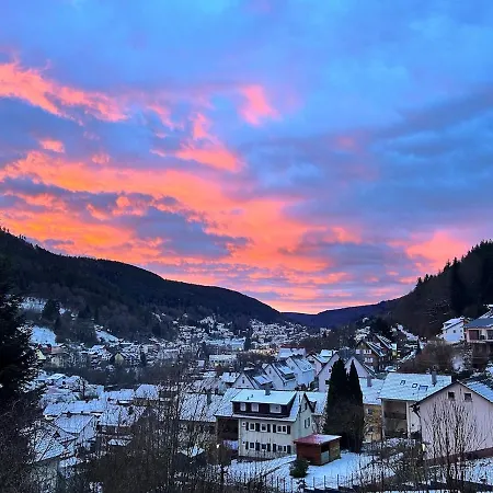 Kuckucksnest - Mit Traumblick Im Schwarzwald Apartment *