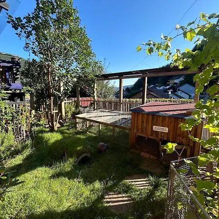 Apartment Kuckucksnest - Mit Traumblick Im Schwarzwald