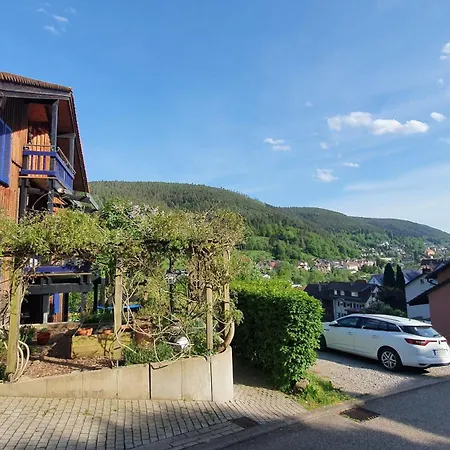 Kuckucksnest - Mit Traumblick Im Schwarzwald * Bad Wildbad