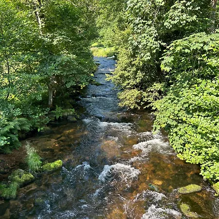 Kuckucksnest - Mit Traumblick Im Schwarzwald * Bad Wildbad