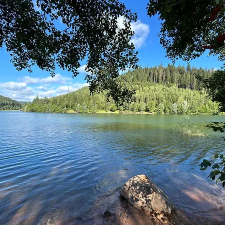 Kuckucksnest - Mit Traumblick Im Schwarzwald Appartement
