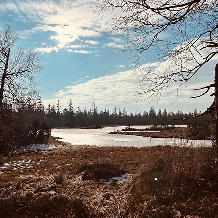 Kuckucksnest - Mit Traumblick Im Schwarzwald Appartement