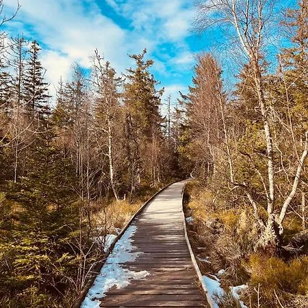 Apartment Kuckucksnest - Mit Traumblick Im Schwarzwald