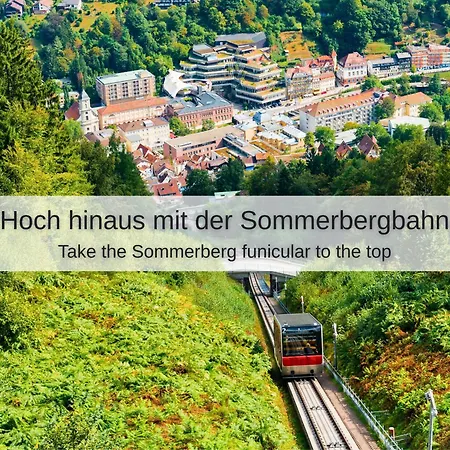 Kuckucksnest - Mit Traumblick Im Schwarzwald Bad Wildbad