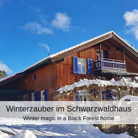 Kuckucksnest - Mit Traumblick Im Schwarzwald Appartement