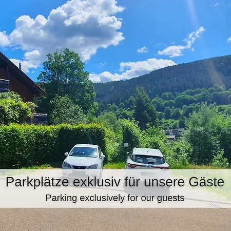 Kuckucksnest - Mit Traumblick Im Schwarzwald *