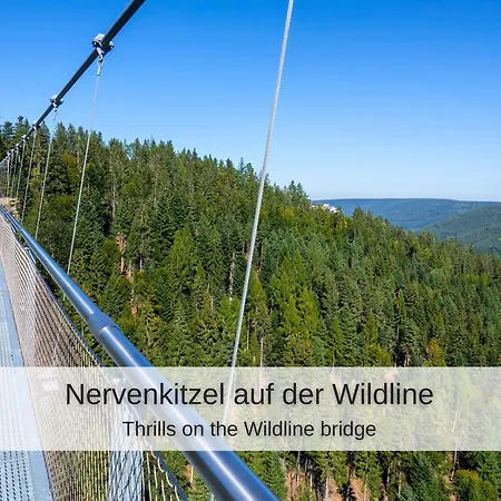 Lägenhet Kuckucksnest - Mit Traumblick Im Schwarzwald *